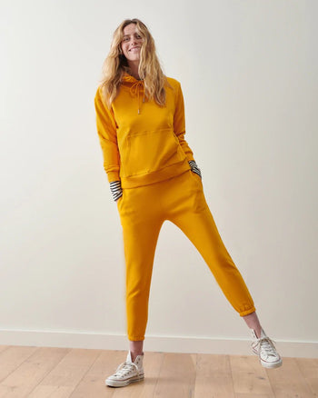 WVN Collection (Formerly known as Synergy)