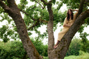 Iris Setlawkwe Pop-Up Trunk Show-10
