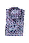 Multicolor