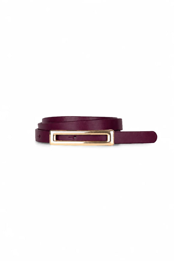 Iris Setlakwe Skinny genuine leather belt with rectangle buckle