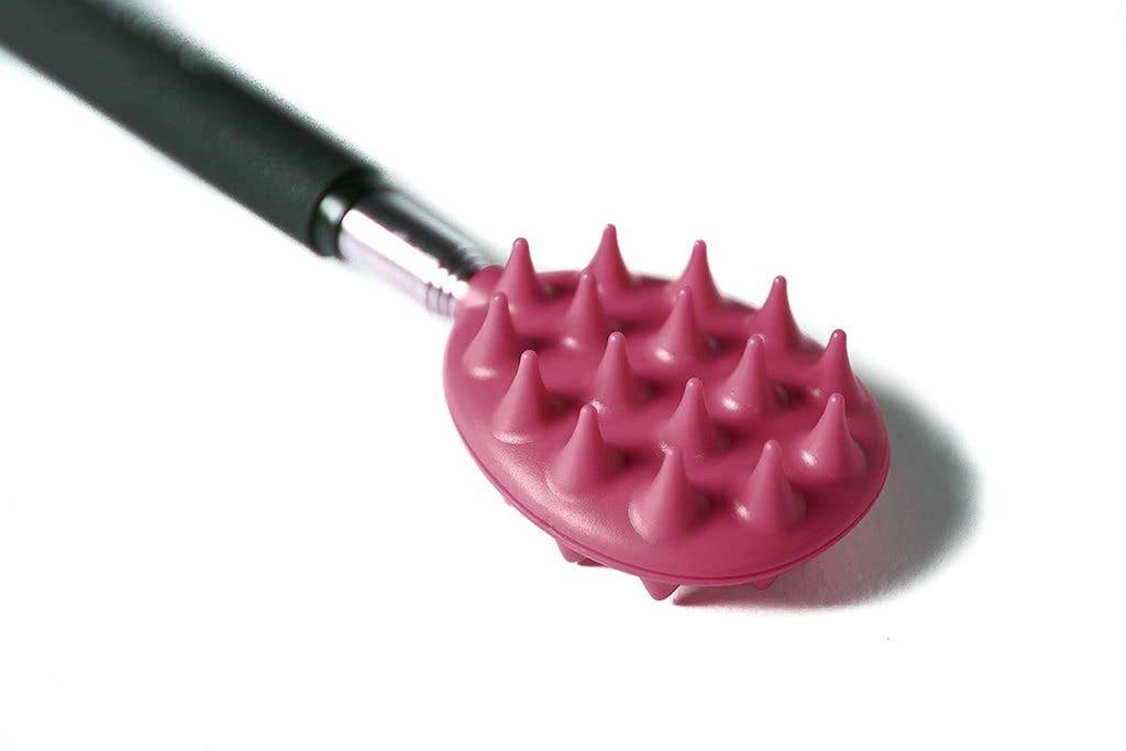 Cactus Scratcher on A Stick