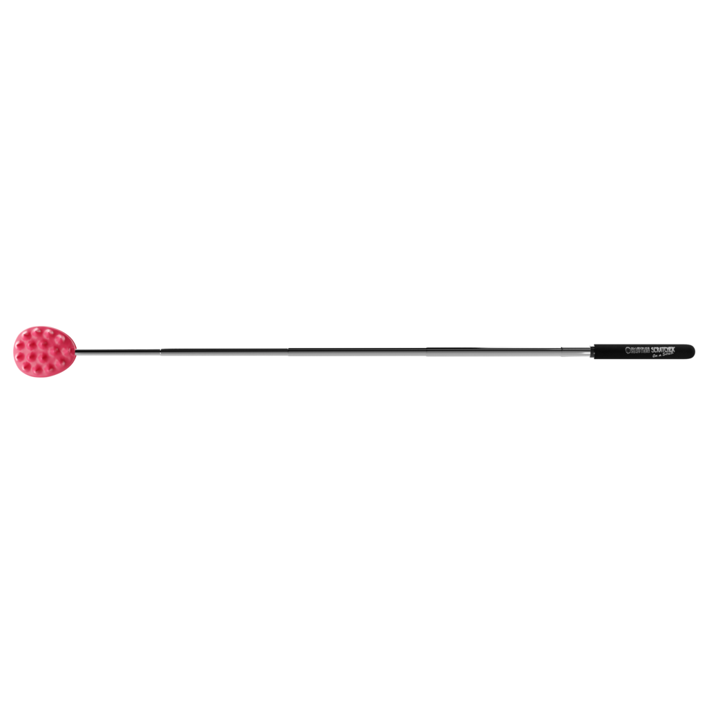 Cactus Scratcher on A Stick