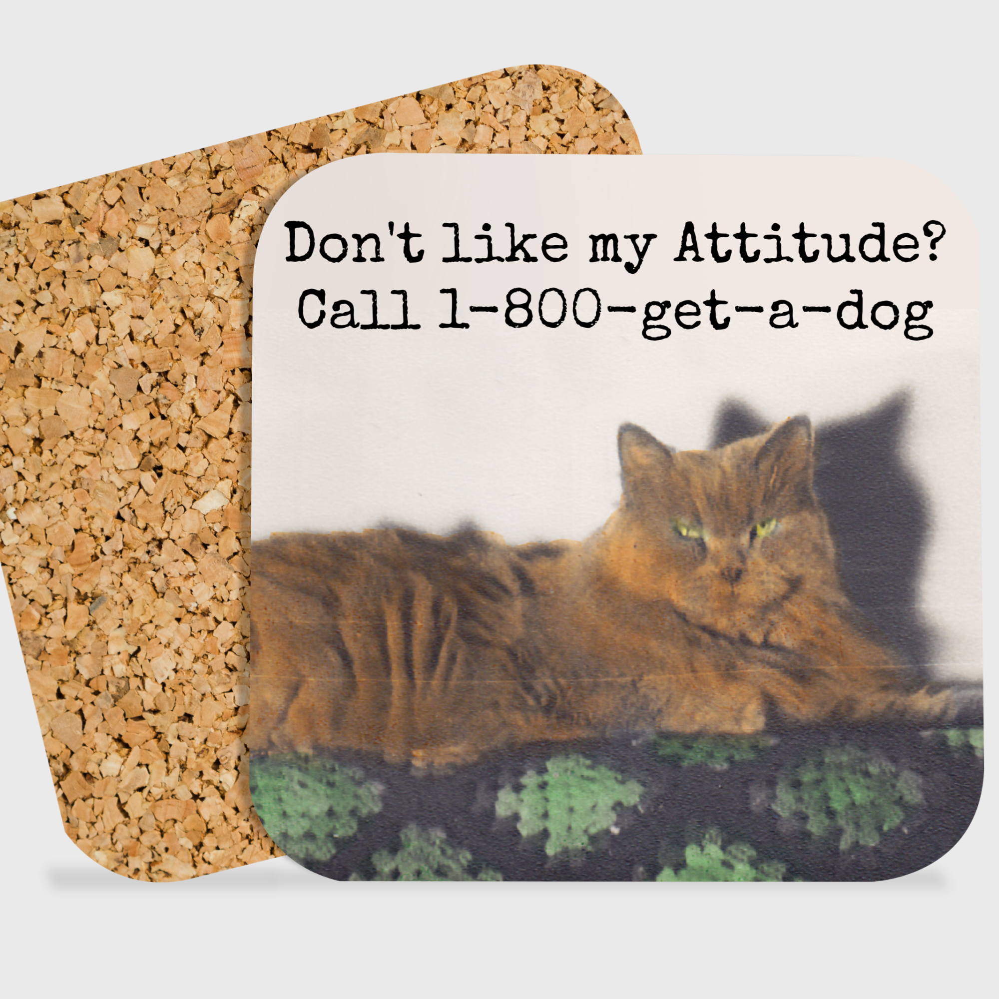 COASTER. Call 1-800-get-a-dog. Funny Vintage Cat Photo Gift.