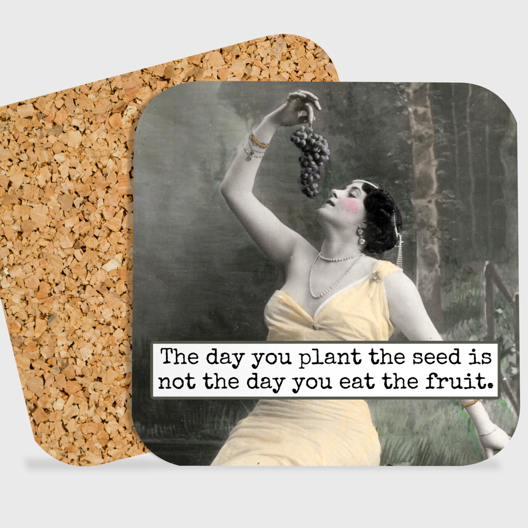 COASTER. The Day You Plant The Seed Is Not The Day You Eat..