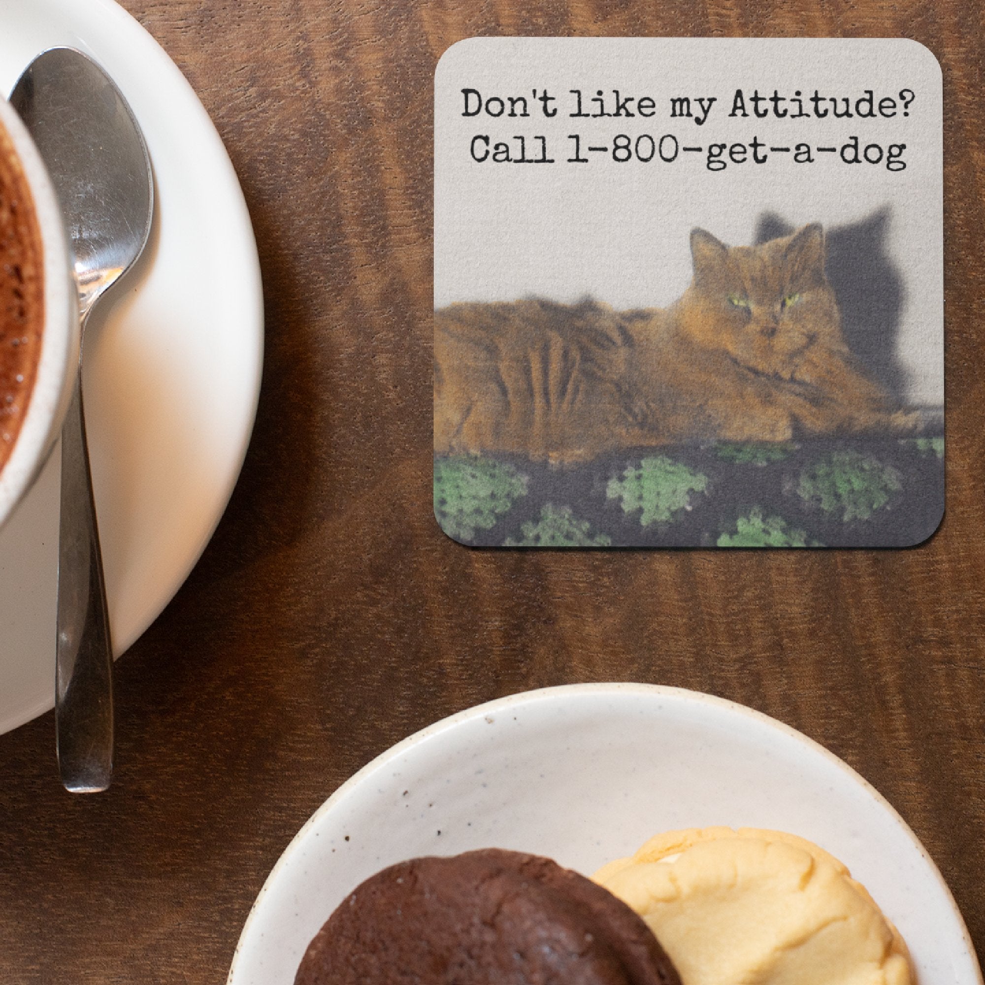 COASTER. Call 1-800-get-a-dog. Funny Vintage Cat Photo Gift. - My Filosophy