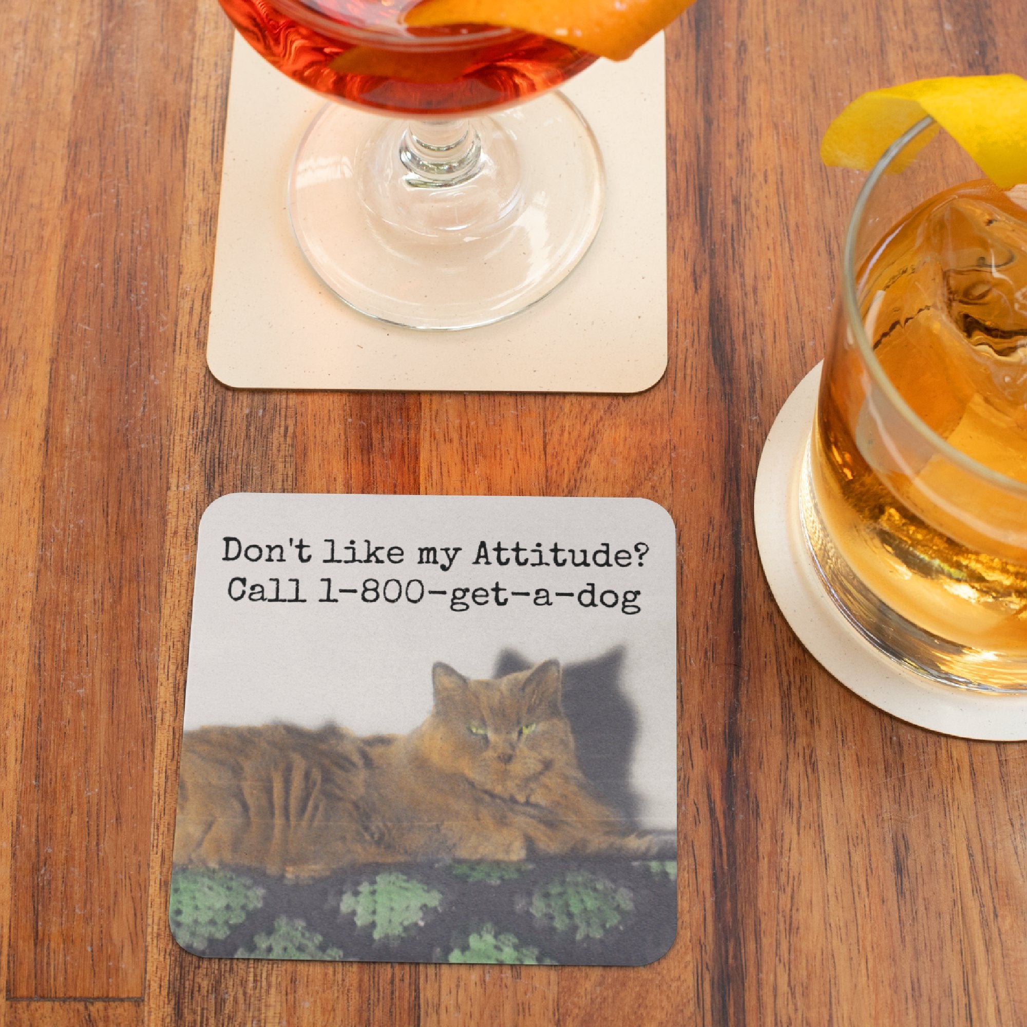 COASTER. Call 1-800-get-a-dog. Funny Vintage Cat Photo Gift. - My Filosophy