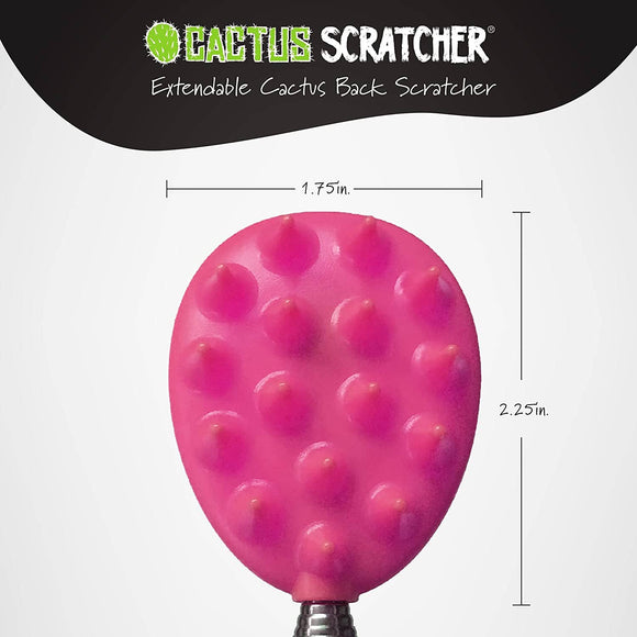 Cactus Scratcher on A Stick