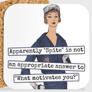 COASTER. Apparently "Spite" Is Not An Appropriate Answer...-1