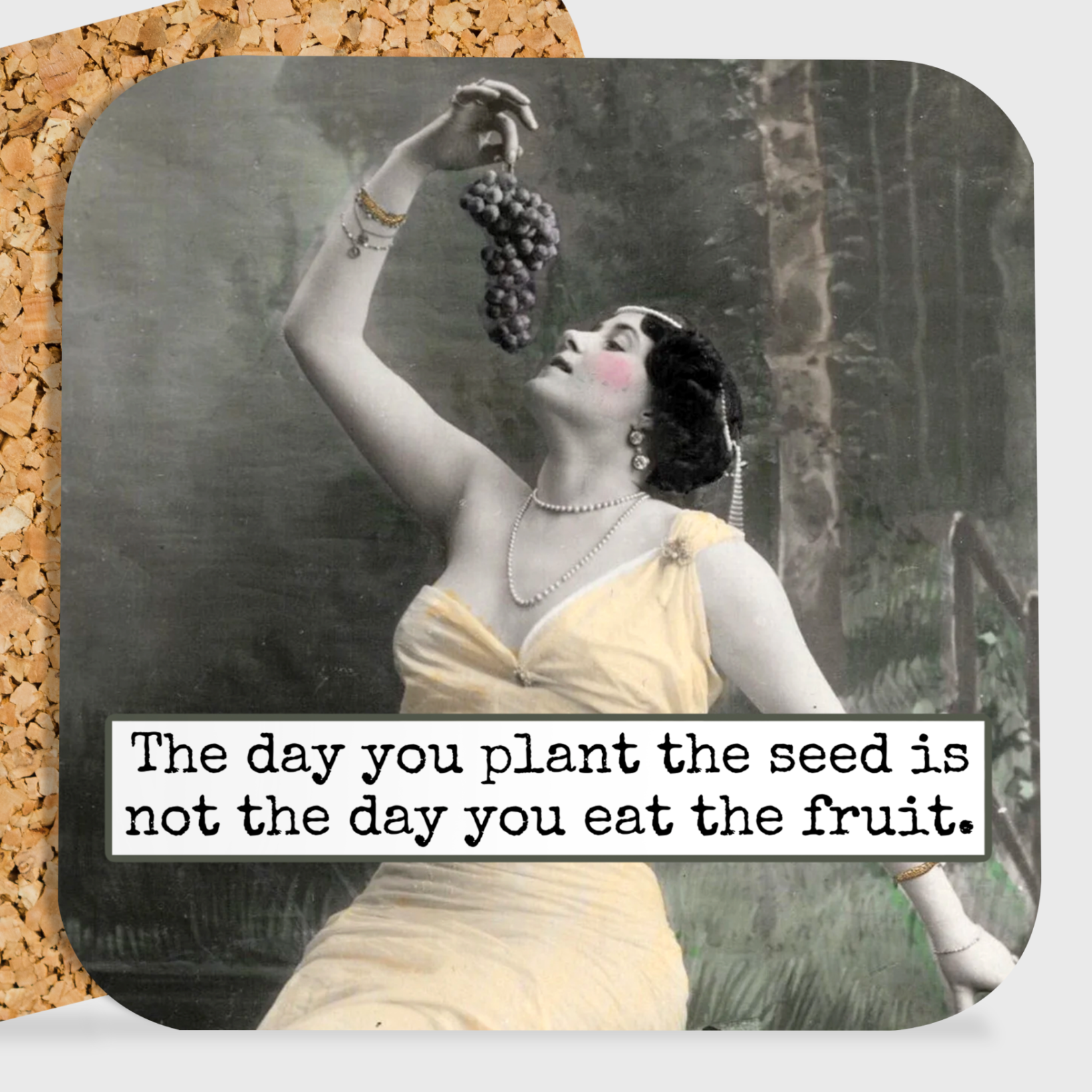 COASTER. The Day You Plant The Seed Is Not The Day You Eat..