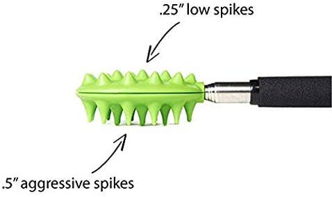 Cactus Scratcher on A Stick