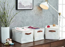 Large 6-Pack Water Resistant Storage Bin with Handles - My Filosophy