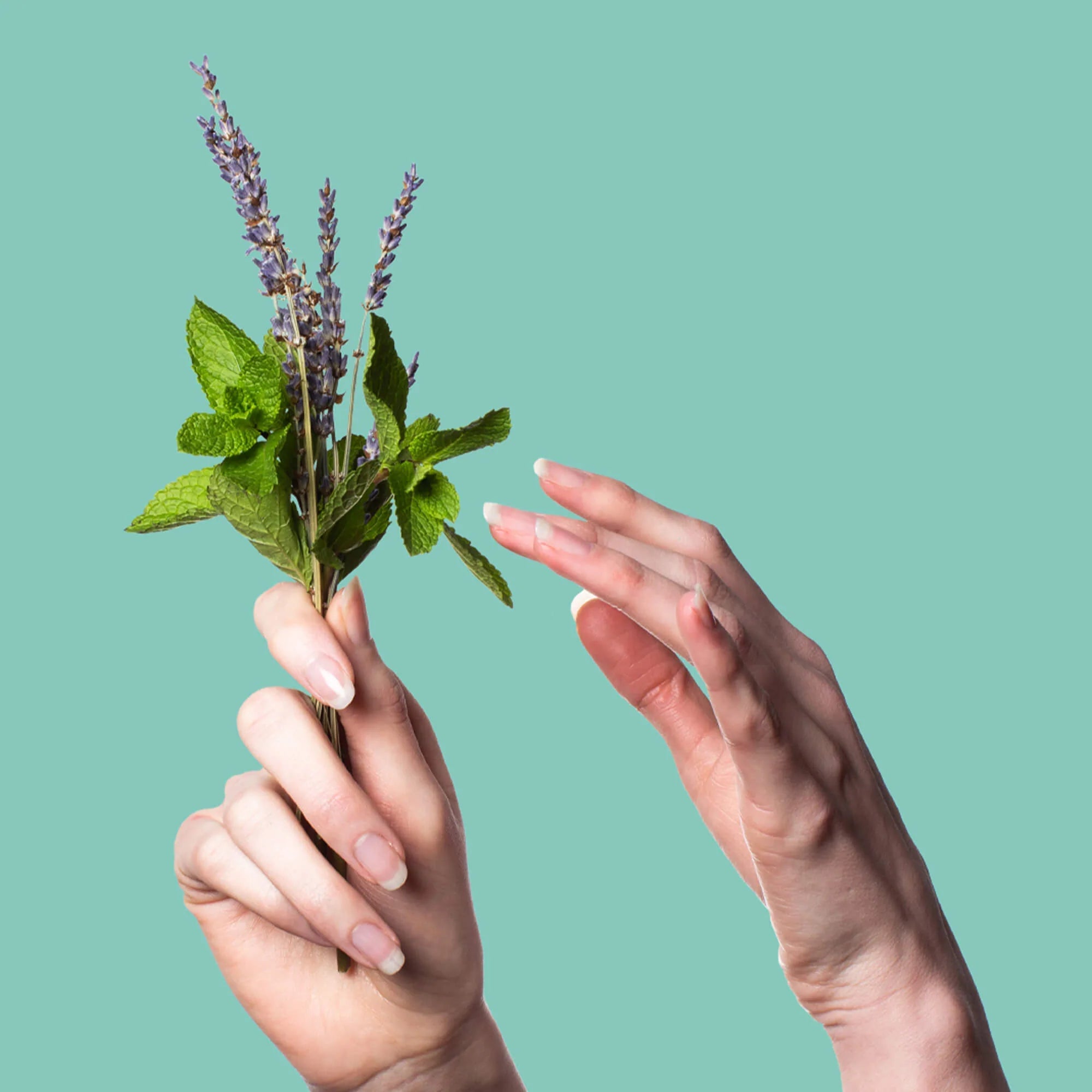 Poo Pourri Lavender Peppermint - My Filosophy