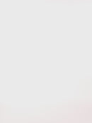 Hanky Panky Walk on the Wild Side Thong-2