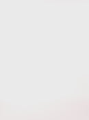 Hanky Panky Walk on the Wild Side Boyshort-4