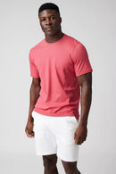 Raffi All Year Round Must Have Crew Neck Aqua Cotton Tee - My Filosophy