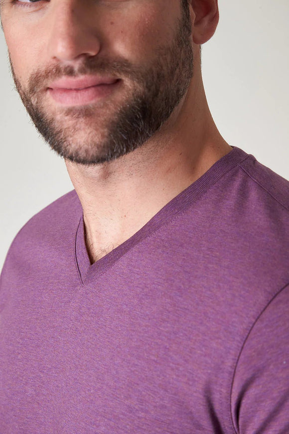 Raffi SS Pure Aqua Basic All Year Round Must Have VNeck Tshirts - RW22201 - My Filosophy