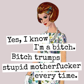 Yes, I Know I'm A Bitch... Fridge Magnet. 314