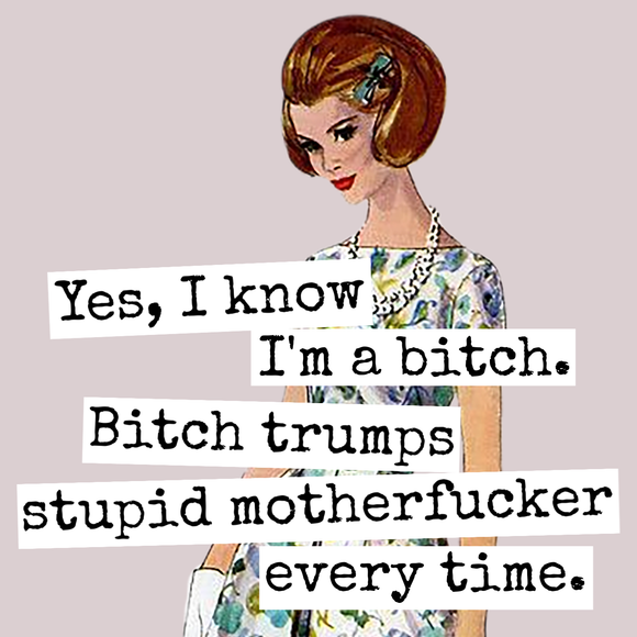 Yes, I Know I'm A Bitch... Fridge Magnet. 314