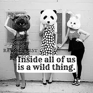 COASTER. Inside All Of Us Is A Wild Thing.