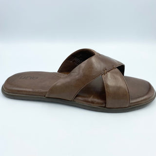 Buy burnished-brown-46 Auri Draco